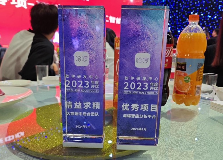 2023 年度优秀项目:海螺智能分析平台